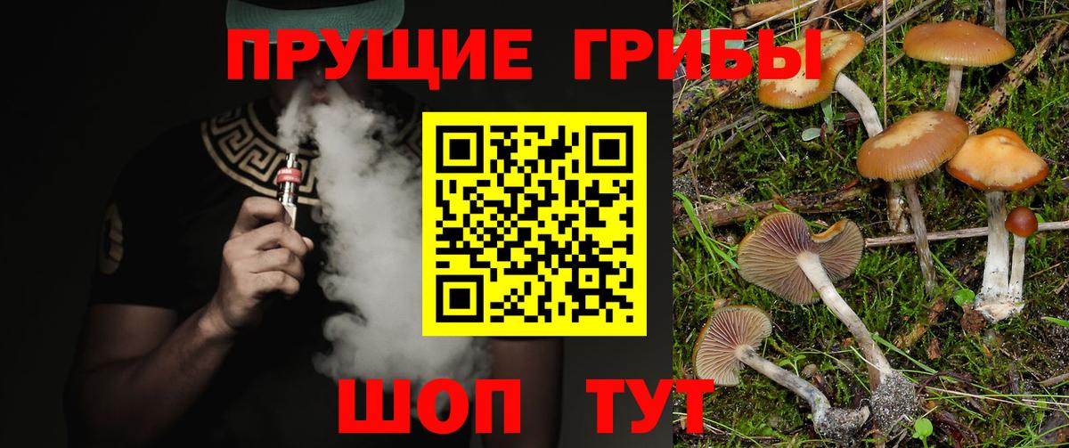 цена наркотик  Вход с VPN  Тихвин  Псилоцибиновые грибы ЛСД 