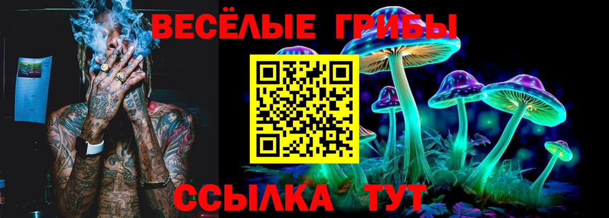 Меф МЯУ МЯУ   Кокаин  Кетамин  НБОМе  Тихвин  ГАШ  Вход с VPN 