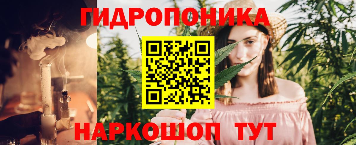 Конопля планчик  Бошки марихуана OG Kush  Каннабис OG Kush  Бошки марихуана планчик  Вход с VPN  Тихвин 